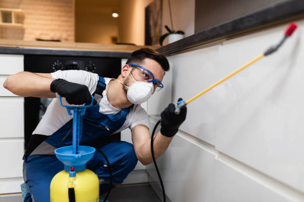 Best Flea Control Services  in Hellertown, PA