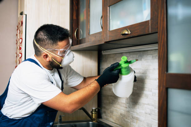 Best Wasp Removal Services  in Hellertown, PA