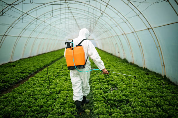 Reliable Hellertown, PA Pest Control Solutions