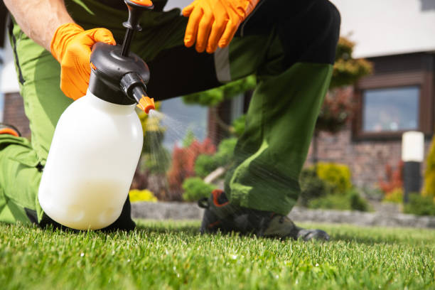 Best Emergency Pest Control  in Hellertown, PA