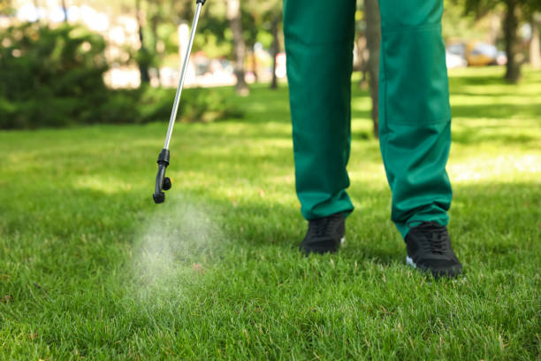 Best Cockroach Control Services  in Hellertown, PA