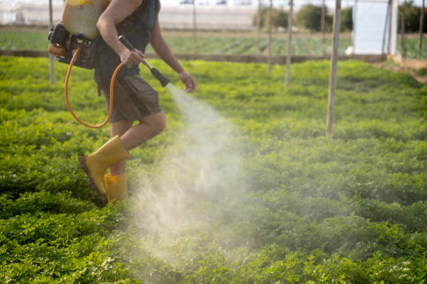 Professional Pest Control in Hellertown, PA
