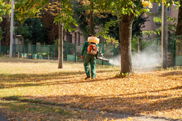 Best Pest Removal Services  in Hellertown, PA
