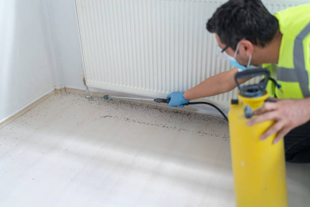 Best Residential Pest Control  in Hellertown, PA